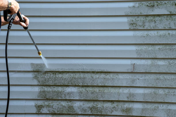 Professional Siding Installation & Repair in Crowley, LA
